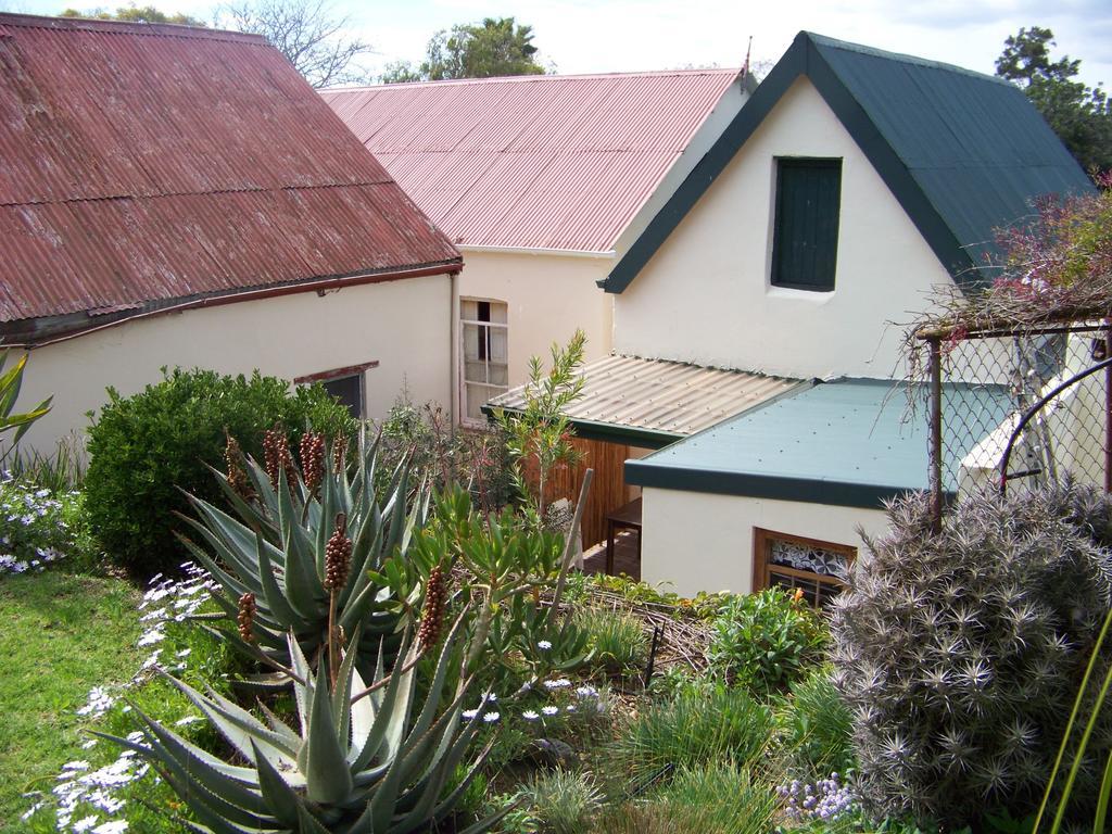Lemontree Cottage Heidelberg  Ngoại thất bức ảnh